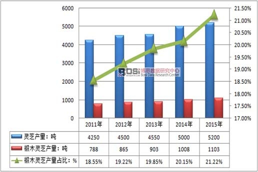 2011-2015年中國椴木靈芝產量及占比